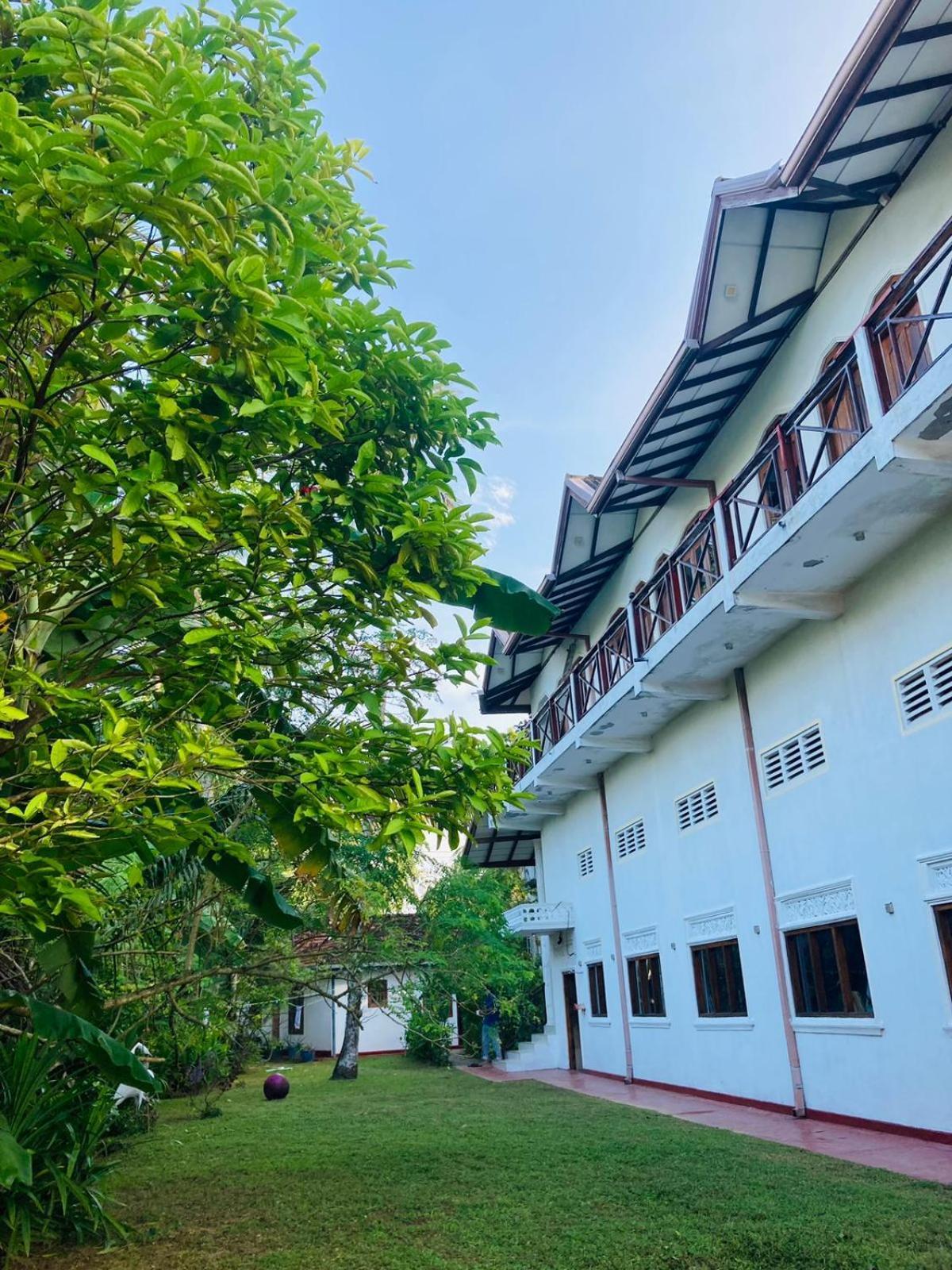 Skywalker Guest House Велігама Екстер'єр фото